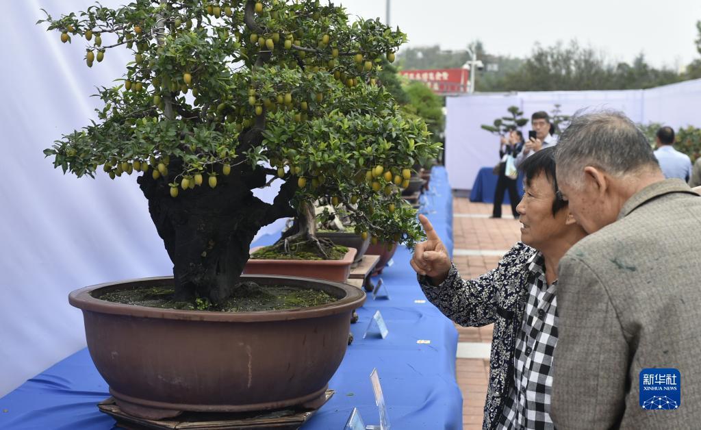 永利现金玩法